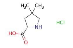 eMolecules​ 4,4-DIMETHYL-L-PROLINE HCL | 1443252-76-3 | MFCD18711597 |