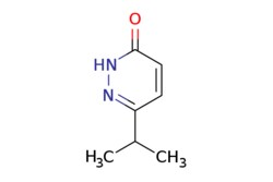 eMolecules​ 6-ISOPROPYL-3-PYRIDAZINONE | 570416-36-3 | MFCD11616599 | 1g,