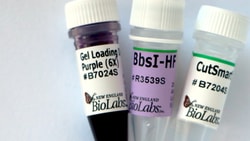 New England Biolabs, Inc. BbsI HF - 1000 units, Quantity: Each of 1