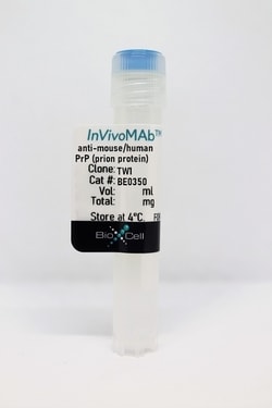 Bio X Cell InVivoMAb, anti-mouse/human PrP, Mouse IgG2a, Unconjugated,