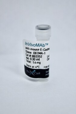 Bio X Cell Antibody, DECMA-1, E-Cadherin, Rat IgG1, 5 MG, Quantity: Each