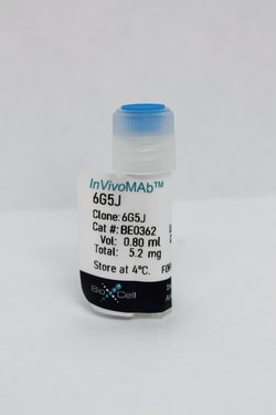 Bio X Cell InVivoMAb anti-human CEACAM 1/3/5/6/8, Clone: 6G5J, Size: 25