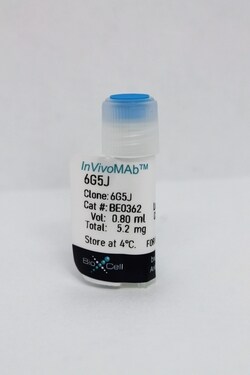 Bio X Cell InVivoMAb anti-human CEACAM 1/3/5/6/8, Clone: 6G5J, Size: 100
