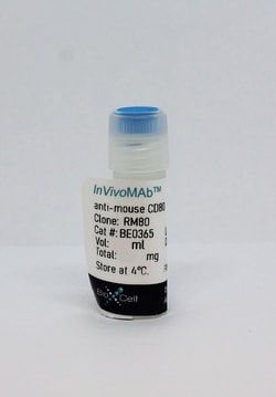 Bio X Cell InVivoMAb anti-mouse CD80 (B7-1), Clone: RM80, Size: 1 mg, Quantity: