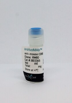 Bio X Cell InVivoMAb anti-mouse CD80 (B7-1), Clone: RM80, Size: 100 mg,