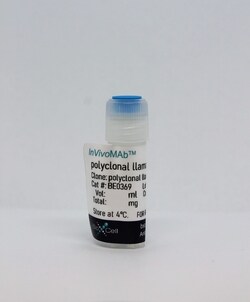 Bio X Cell InVivoMAb polyclonal llama IgG, Clone: N/A, Size: 5 mg, Quantity: