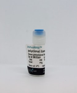 Bio X Cell InVivoMAb polyclonal llama IgG, Clone: N/A, Size: 25 mg, Quantity: