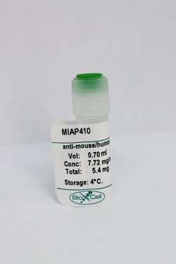 Bio X Cell Antibody, Clone MIAP410, Mouse/Human/Rat CD47, 100 MG, Quantity: