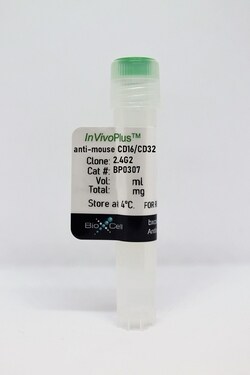 Bio X Cell Antibody, Clone 2.4G2, Mouse CD16/CD32, 100 MG, Quantity: Each