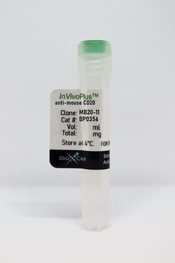 Bio X Cell InVivoPlus anti-mouse CD20, Clone: MB20-11, Size: 5 mg, Quantity: