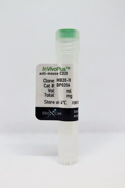 Bio X Cell InVivoPlus anti-mouse CD20, Clone: MB20-11, Size: 50 mg, Quantity:
