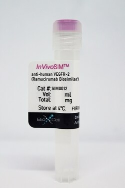 Bio X Cell Ramucirumab Biosimilar, anti-human VEGFR-2, IgG1, 100 MG, Quantity: