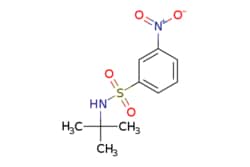 eMolecules​ N-tert-Butyl 3-Nitrobenzenesulfonamide | 424818-25-7 | MFCD01985492