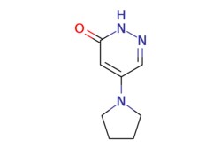 eMolecules​ 5-(1-Pyrrolidinyl)-3(2H)-pyridazinone | 1015846-81-7 | MFCD09971318