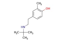 eMolecules​&nbsp;4-tert-Butylaminoethyl-2-methylphenol | 132183-64-3 | MFCD27967110 | 100mg
