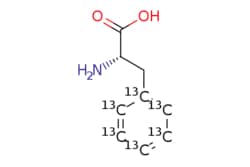 eMolecules​ L-Phenylalanine-13C6 | 180268-82-0 | MFCD00144663 | 250mg,