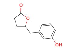 eMolecules​&nbsp;5-[(3-hydroxyphenyl)methyl]oxolan-2-one | 21618-91-7 | MFCD01746528 | 50mg