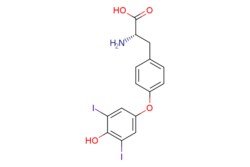 eMolecules​ 3?,5?-Diiodo-L-thyronine | 4192-14-7 | MFCD30343572 | 250mg,