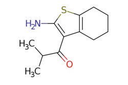 eMolecules​ 1-(2-Amino-4,5,6,7-tetrahydrobenzo[b]thiophen-2-methylpropan-1-one | 832113-97-0 | MFCD05864297 | 1g