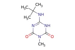 eMolecules​&nbsp;6-(tert-Butylamino)-3-methyl-1,3,5-triazine-2,4(1H,3H)-dione | 2206682-85-9 |  | 50mg