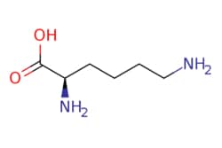 eMolecules​&nbsp;D-Lysine | 923-27-3 |  | 1g
