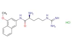 eMolecules​ H-Arg-4MbNA hydrochloride salt | 60285-94-1 | MFCD00058039 | 100mg