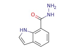 eMolecules​ 1H-Indole-7-carbohydrazide | 321309-24-4 | MFCD00572868 | 1g