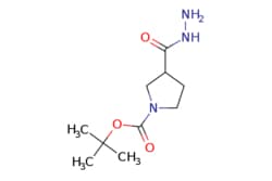 eMolecules​&nbsp;3-Hydrazinocarbonyl-pyrrolidine-1-carboxylic acid tert-butyl ester | 411238-88-5 | MFCD03791258 | 5g