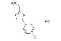 eMolecules​&nbsp;[5-(4-Chlorophenyl)-2-thienyl]methylamine hydrochloride | 1166853-02-6 | MFCD02089432 | 1g