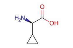 eMolecules​ D-Cyclopropylglycine | 49607-01-4 | MFCD06659109 | 1g, Quantity: