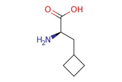 eMolecules​ (R)-2-AMINO-3-CYCLOBUTYLPROPANOIC ACID | 174266-00-3 | MFCD09264348