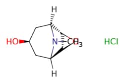 eMolecules​ SCOPINE HCL | 85700-55-6 | MFCD00058097 | 1g, Quantity: Each