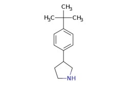 eMolecules​ 3-(4-TERT-BUTYLPHENYL)PYRROLIDINE | 112937-98-1 | MFCD11047410 | 1g