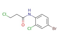 eMolecules​&nbsp;N-(4-BROMO-2-CHLOROPHENYL)-3-CHLOROPROPANAMIDE | 1098343-13-5 | MFCD11644505 | 0.25g