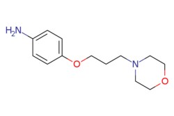 eMolecules​ 4-(3-MORPHOLINOPROPOXY)ANILINE | 100800-40-6 | MFCD11593604