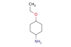 eMolecules​ 4-ETHOXYCYCLOHEXANAMINE | 4342-49-8 | MFCD14583029 | 0.25g,