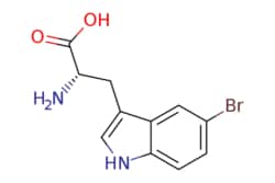 eMolecules​ 5-BROMO-L-TRYPTOPHAN | 25197-99-3 | MFCD06796707 | 1g, Quantity: