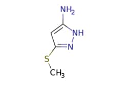 eMolecules​ 3-(METHYLTHIO)-1H-PYRAZOL-5-AMINE | 117736-74-0 | MFCD18642411