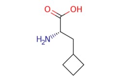 eMolecules​ 1201593-65-8 | (S)-2-AMINO-3-CYCLOBUTYLPROPANOIC ACID | MFCD09836126