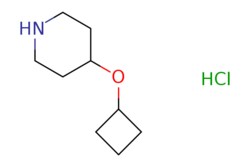 eMolecules​ 4-CYCLOBUTOXYPIPERIDINE-HCL | 1341037-74-8 | MFCD21362304 |
