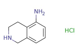 eMolecules​ 1,2,3,4-TETRAHYDROISOQUINOLIN-5-AMINE HCL | 1082658-92-1 | MFCD08461265 | 1g