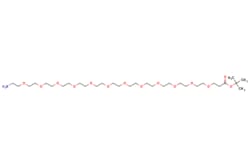 eMolecules​ AMINO-PEG12-T-BUTLY ESTER | 872340-65-3 | MFCD11041147 | 1g,