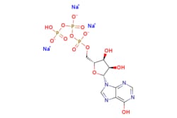 eMolecules​ INOSINE-5'-TRIPHOSPHATE, TRISODIUM SALT | 35908-31-7 | MFCD00084678
