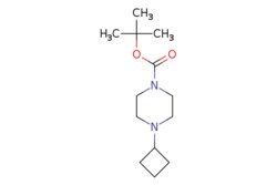 eMolecules​ 485798-62-7 | TERT-BUTYL 4-CYCLOBUTYLPIPERAZINE-1-CARBOXYLATE