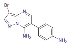 eMolecules​ 1039364-84-5 | 6-(4-AMINOPHENYL)-3-BROMOPYRAZOLO[1,5-A]PYRIMIDIN-7-AMINE