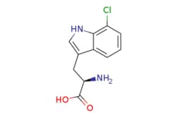 eMolecules​ 7-CHLORO-D-TRYPTOPHAN | 75102-74-8 | MFCD09264323 | 1g, Quantity: