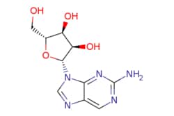 eMolecules​&nbsp;2-AMINOPURINE RIBOSIDE | 4546-54-7 | MFCD00037992 | 1g