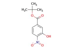 eMolecules​ 123330-86-9 | TERT-BUTYL 3-HYDROXY-4-NITROBENZOATE | MFCD08703419
