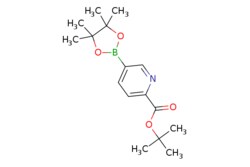 eMolecules​ TERT-BUTYL 5-(4,4,5,5-TETRAMETHYL-1,3,2-DIOXABOROLAN-2-YL)PICOLINATE