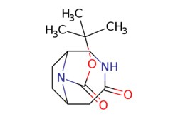 eMolecules​ 1312456-05-5 | 9-BOC-4-OXO-3,9-DIAZA-BICYCLO[4.2.1]NONANE |